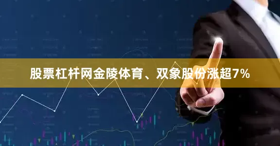 股票杠杆网金陵体育、双象股份涨超7%