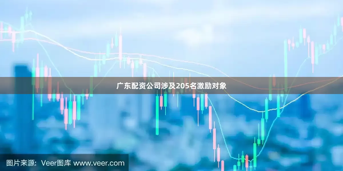 广东配资公司涉及205名激励对象