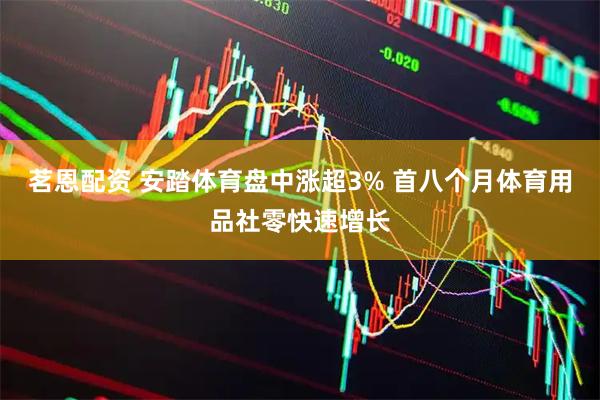 茗恩配资 安踏体育盘中涨超3% 首八个月体育用品社零快速增长