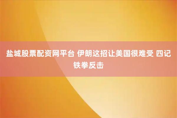盐城股票配资网平台 伊朗这招让美国很难受 四记铁拳反击